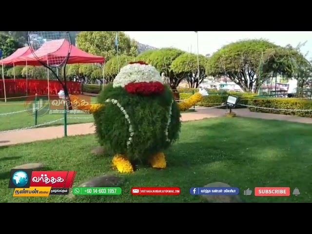 ஊட்டியில் 18வது ரோஜா கண்காட்சி பிரம்மாண்டமாய் துவங்கப்பட்டது…